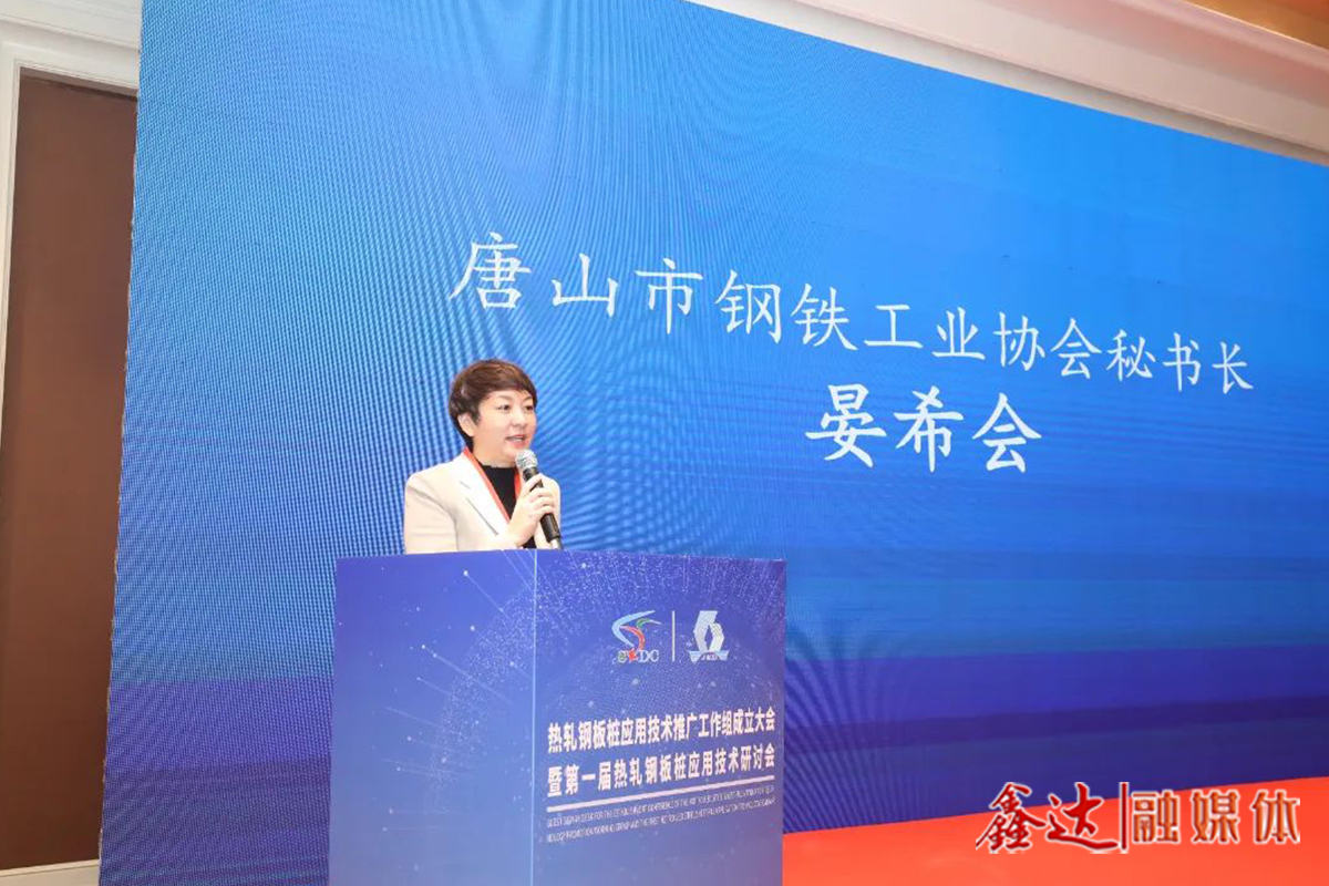 Secretary General Yan Xihui was invited to attend and deliver a speech! The establishment meeting of the hot rolled steel sheet pile application technology promotion working group and the first hot rolled steel sheet pile application technology seminar were successfully held